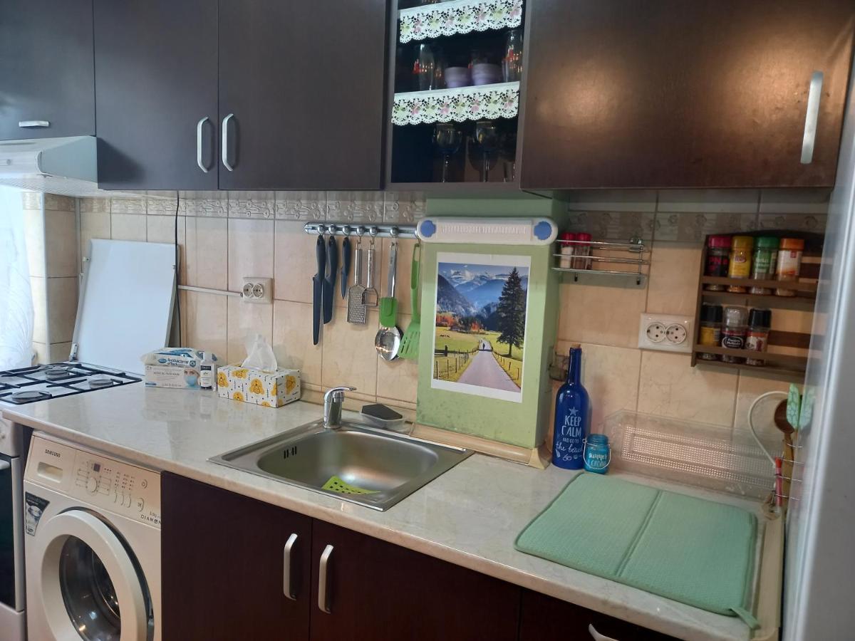 Blue Sky Apartment 普洛耶什蒂 外观 照片