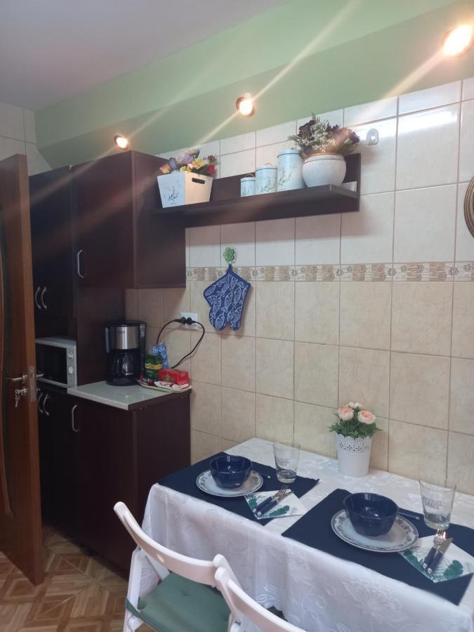 Blue Sky Apartment 普洛耶什蒂 外观 照片
