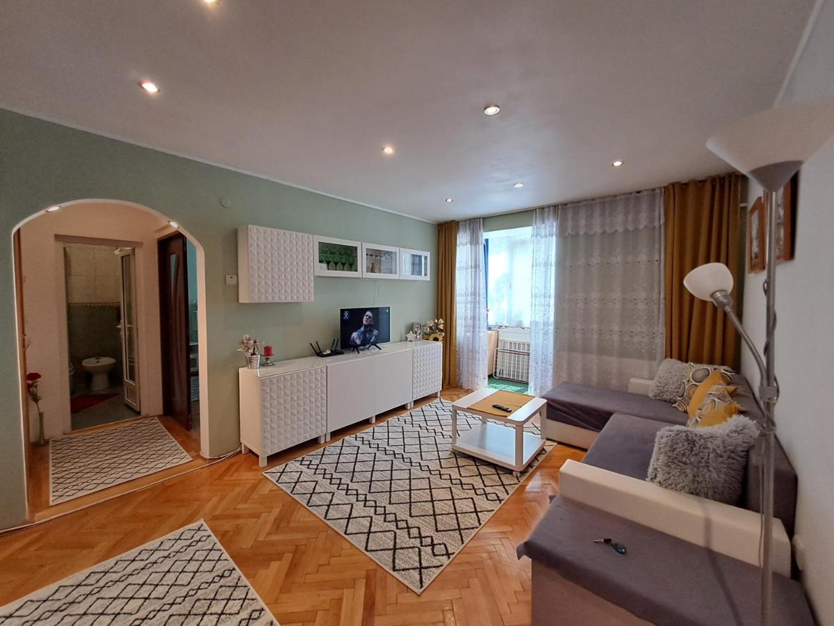 Blue Sky Apartment 普洛耶什蒂 外观 照片